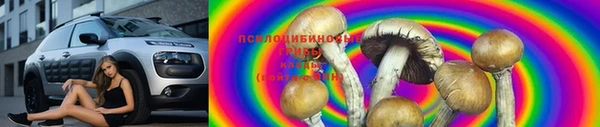 прущие крисы Алексин